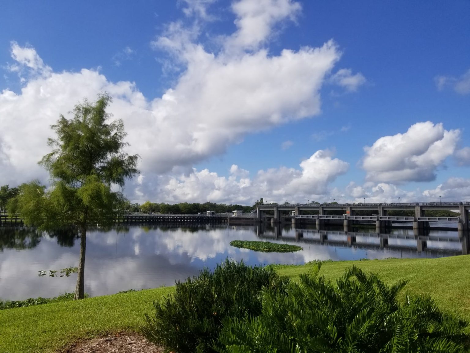 11 Digital Nomad Friendly Campsites in Florida that Won't Break the